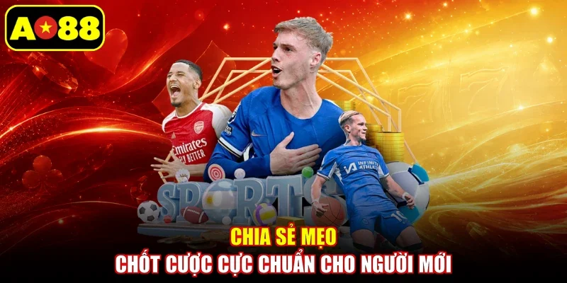 Chia sẻ mẹo chốt cược cực chuẩn cho người mới