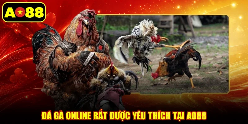 Đá gà online rất được yêu thích tại AO88