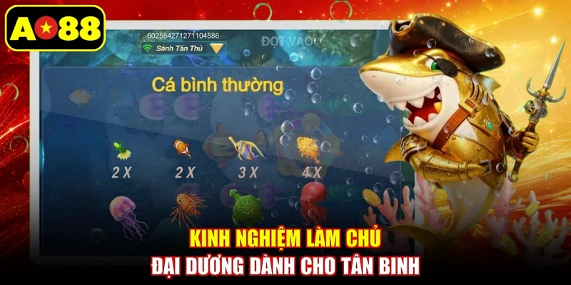 Kinh nghiệm làm chủ đại dương dành cho tân binh