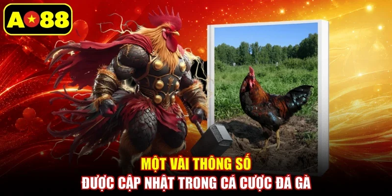 Một vài thông số được cập nhật trong cá cược đá gà